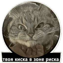 Хардфанк sticker 2