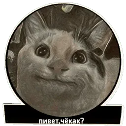Хардфанк sticker 11