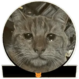 Хардфанк sticker 12