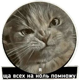 Хардфанк sticker 3