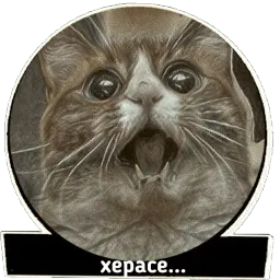 Хардфанк sticker 4