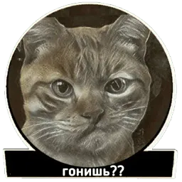 Хардфанк sticker 6