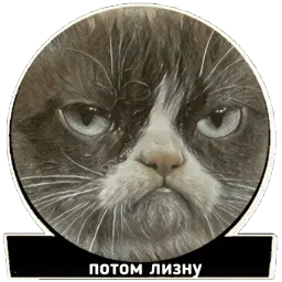 Хардфанк sticker 7