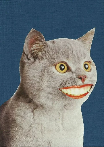 WTF sticker 9