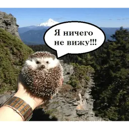 чотам sticker 3