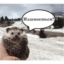 чотам sticker 4