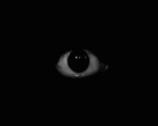 horror_video sticker 11