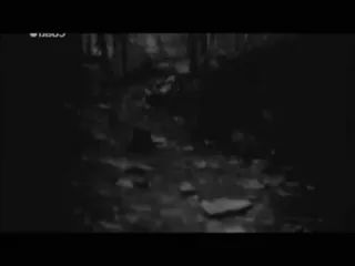 horror_video sticker 12