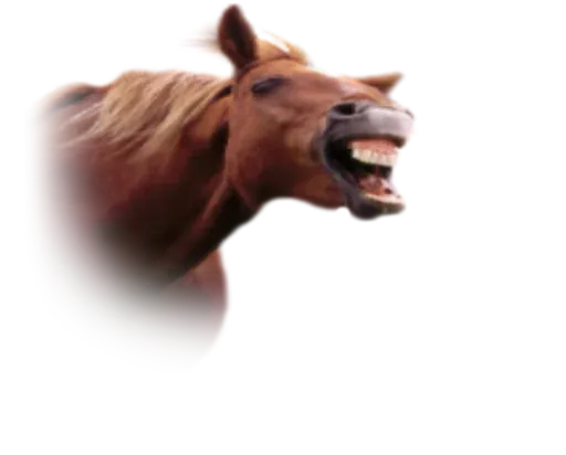 Horses4 sticker 16