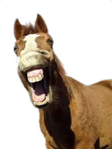 Horses4 sticker 6
