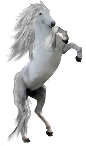 Horses4 sticker 9
