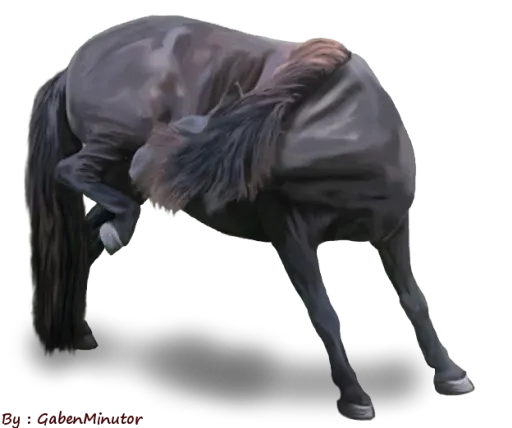 Horses4 sticker 10