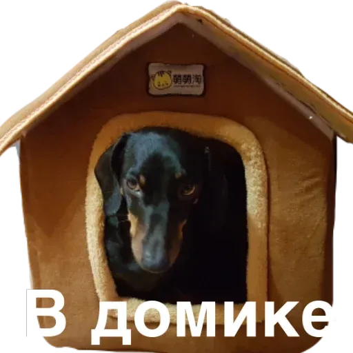 House M.D. sticker 34