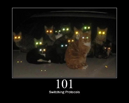 http.cat sticker 2
