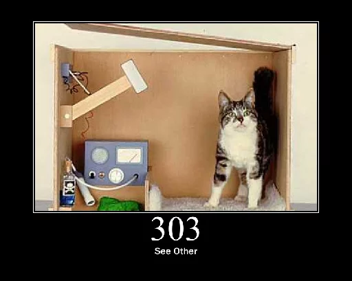 http.cat sticker 12