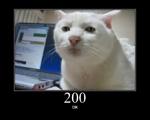 http.cat sticker 3