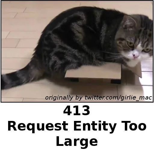http.cat sticker 2