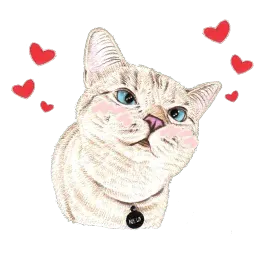 Hug me Pls - Iam your Cat Telegram sticker pack