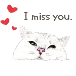 Hug me Pls - Iam your Cat sticker 12