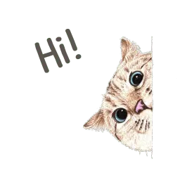 Hug me Pls - Iam your Cat sticker 3