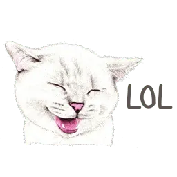 Hug me Pls - Iam your Cat sticker 6