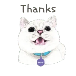 Hug me Pls - Iam your Cat sticker 8