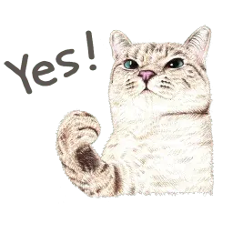 Hug me Pls - Iam your Cat sticker 9
