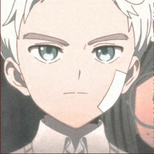 Norman sticker 9