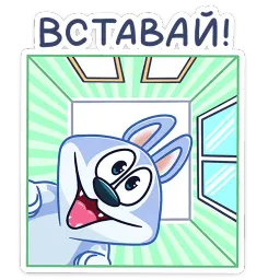 Хасик sticker 2