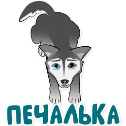 Весёлая хаски sticker 11