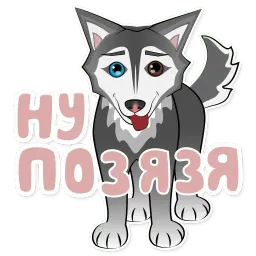 Весёлая хаски sticker 5