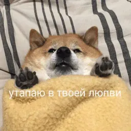 Милые милости Telegram sticker pack