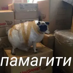 Милые милости sticker 4