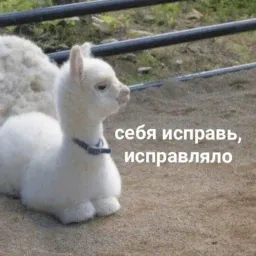 Милые милости sticker 5