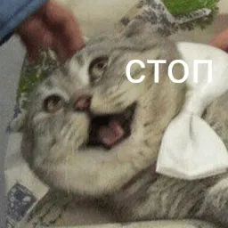Милые милости sticker 10
