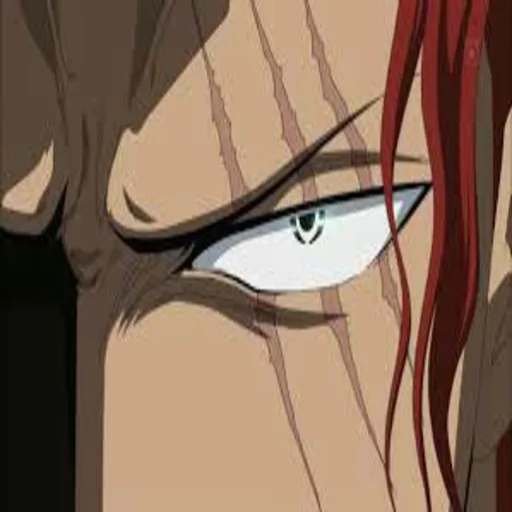 SHANKS sticker 3