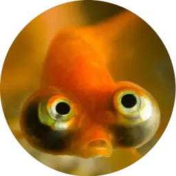 Я рыба ало Telegram sticker pack