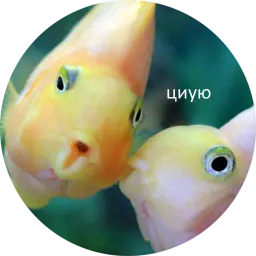 Я рыба ало sticker 2
