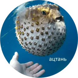 Я рыба ало sticker 5