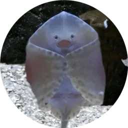 Я рыба ало sticker 9