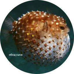 Я рыба ало sticker 10