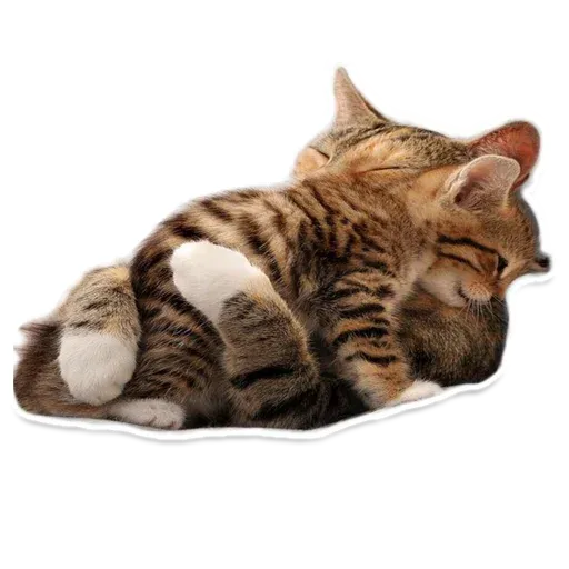 inazumagirlsalez sticker 131