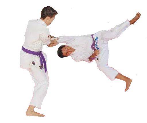 Iosplanos sticker 3