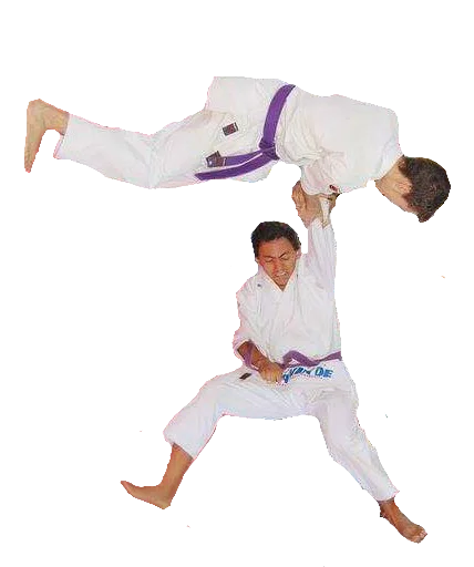 Iosplanos sticker 4