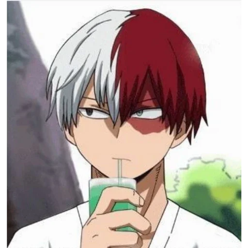 shoto sticker 10