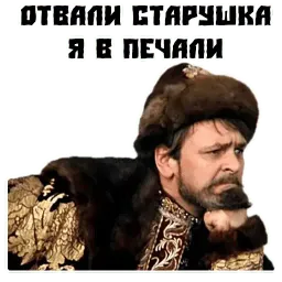 Иван Васильевич sticker 2