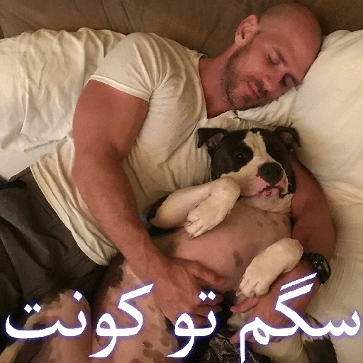 Johnny Sins sticker 2