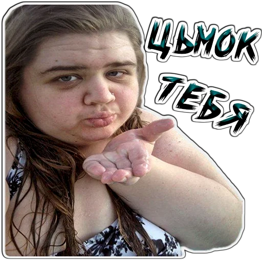 (@StickersHyickers) Жирухи sticker 9