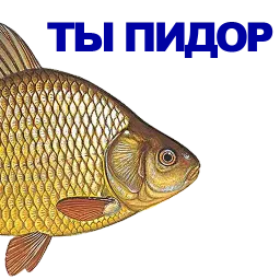 Карась sticker 3
