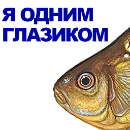 Карась sticker 5